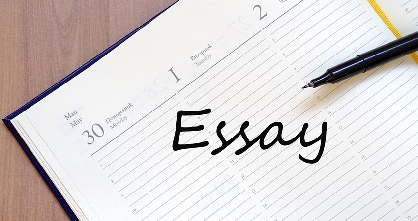 writing essays for money