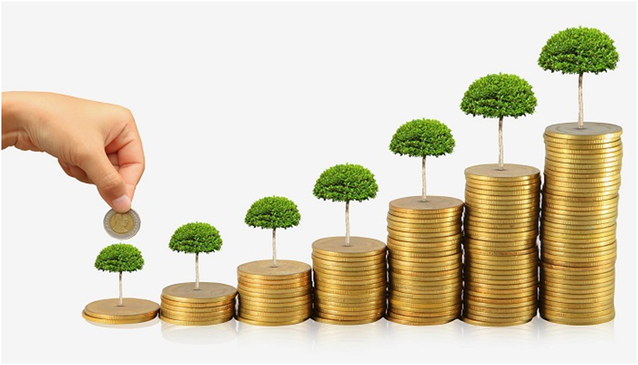 Wealth Managemnt